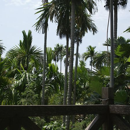 Lila Homestay Hoi An Exterior foto