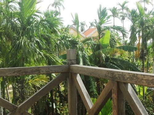 Lila Homestay Hoi An Exterior foto